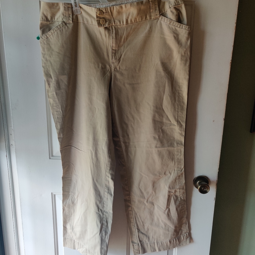 Lane Bryant pants